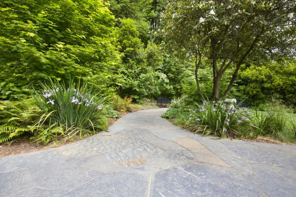 Stone Hardscape Service in Chagrin Falls